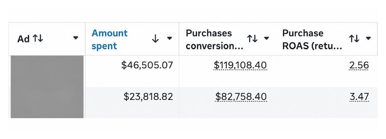 Australian Fashion & Apparel Brand — Meta ads: Spend, purchase value and ROAS by ad